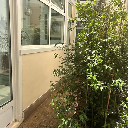 Apartment Atelier D Artiste Sur L Ile Saint Louis